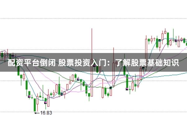 配资平台倒闭 股票投资入门：了解股票基础知识