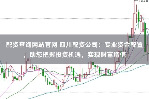 配资查询网站官网 四川配资公司：专业资金配置，助您把握投资机遇，实现财富增值