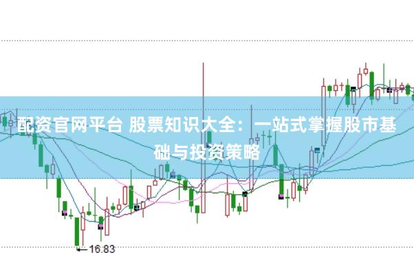 配资官网平台 股票知识大全：一站式掌握股市基础与投资策略