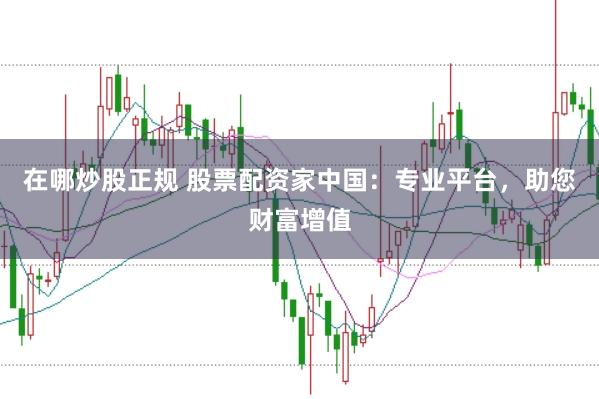 在哪炒股正规 股票配资家中国：专业平台，助您财富增值