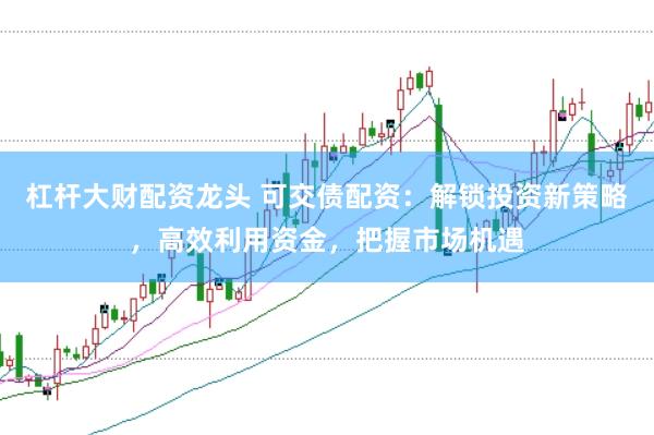 杠杆大财配资龙头 可交债配资：解锁投资新策略，高效利用资金，把握市场机遇