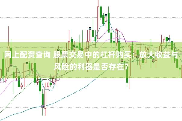 网上配资查询 股票交易中的杠杆购买：放大收益与风险的利器是否存在？