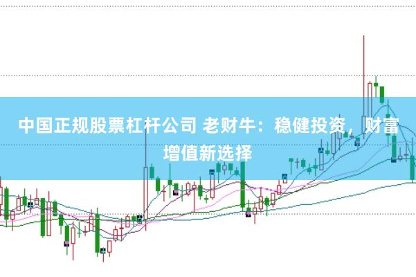 中国正规股票杠杆公司 老财牛：稳健投资，财富增值新选择
