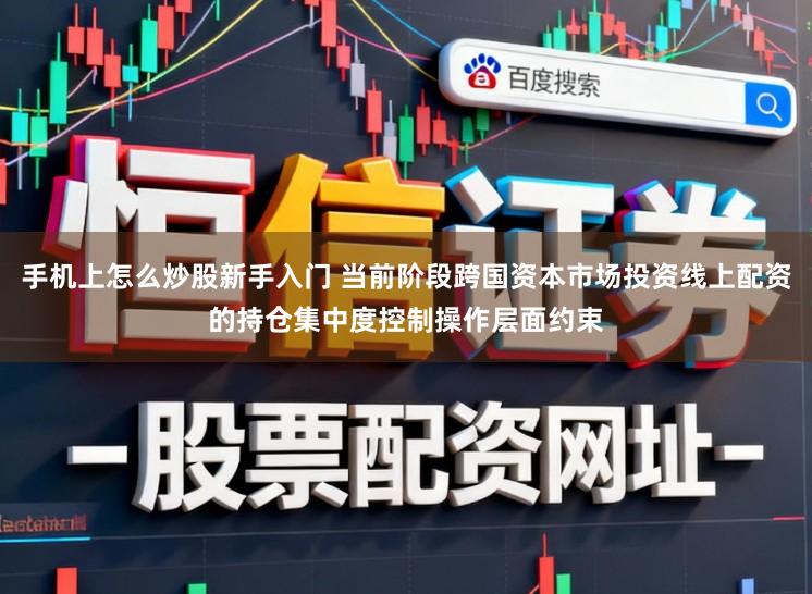 手机上怎么炒股新手入门 当前阶段跨国资本市场投资线上配资的持仓集中度控制操作层面约束