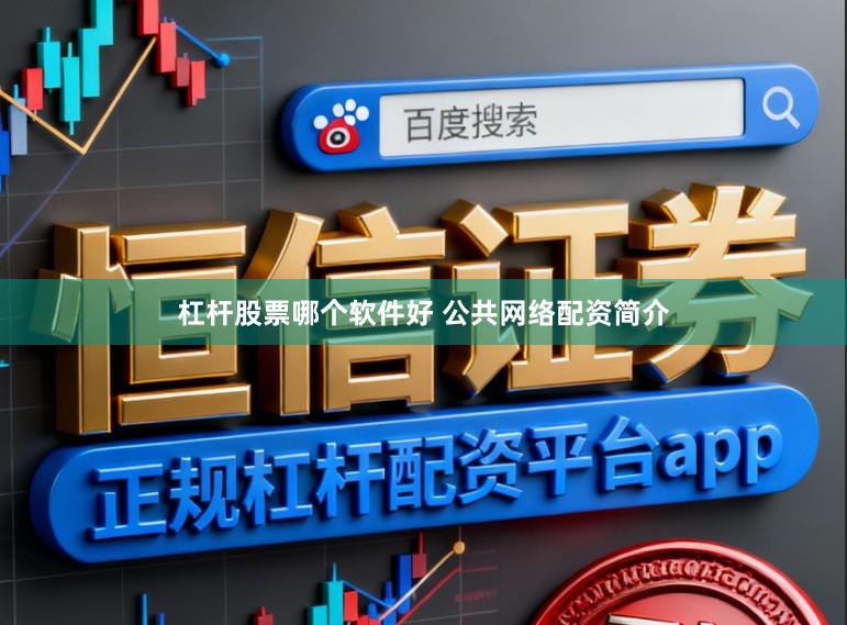 杠杆股票哪个软件好 公共网络配资简介